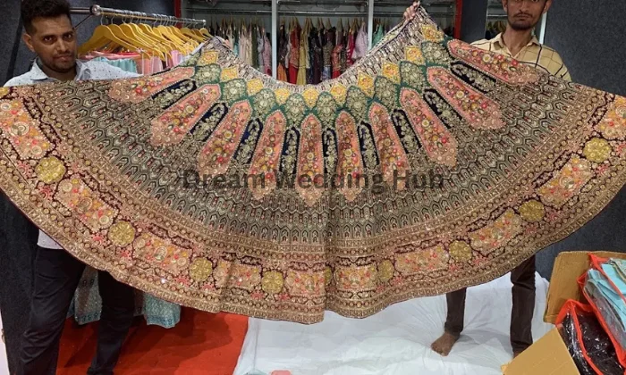 Kapoor Lehenga Saree